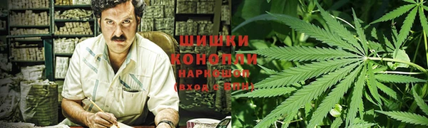 гидра Балахна