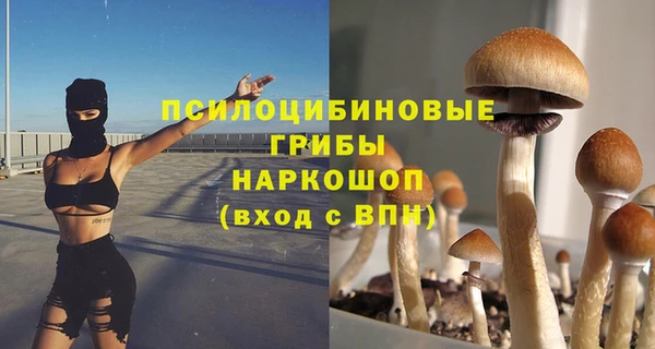 Альфа ПВП Алексеевка
